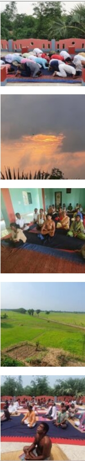 A collage showcasing diverse individuals practicing yoga in various poses