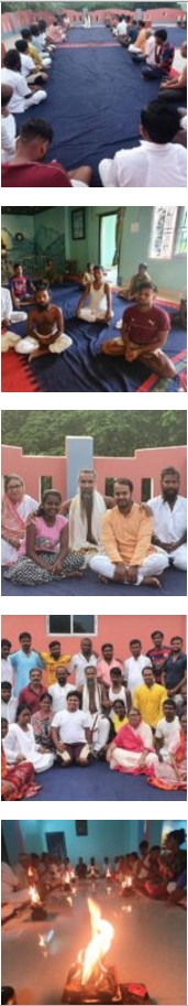 people practicing yoga in various poses