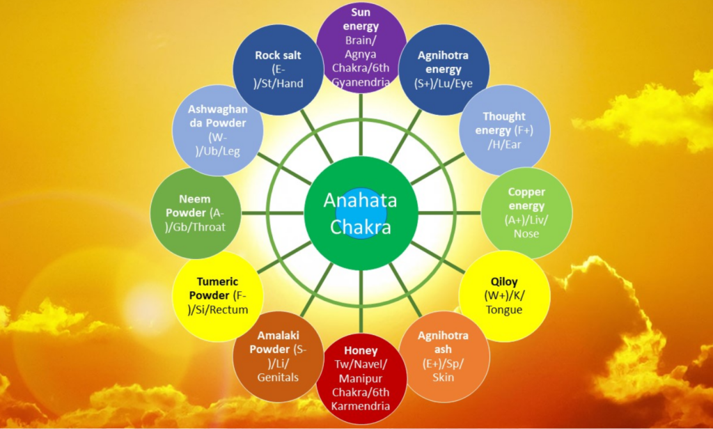 A detailed diagram illustrating the anatman chakra system, showcasing energy centers and their connections in the body.